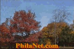 Fall Foliage in Pennsylvania