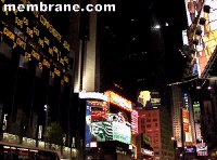 New York
City's Times Square at membrane.com